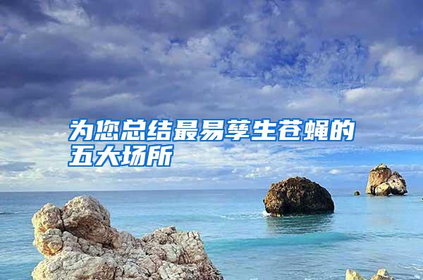 為您總結(jié)最易孳生蒼蠅的五大場(chǎng)所