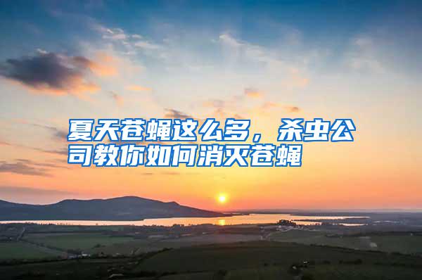 夏天蒼蠅這么多，殺蟲(chóng)公司教你如何消滅蒼蠅