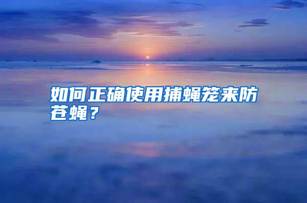 如何正確使用捕蠅籠來防蒼蠅？