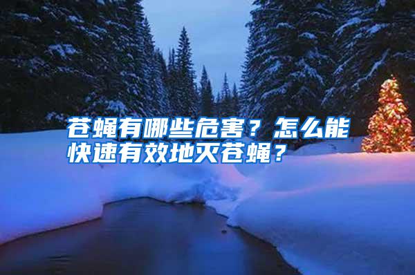蒼蠅有哪些危害？怎么能快速有效地滅蒼蠅？