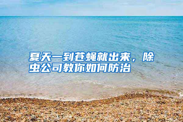 夏天一到蒼蠅就出來，除蟲公司教你如何防治