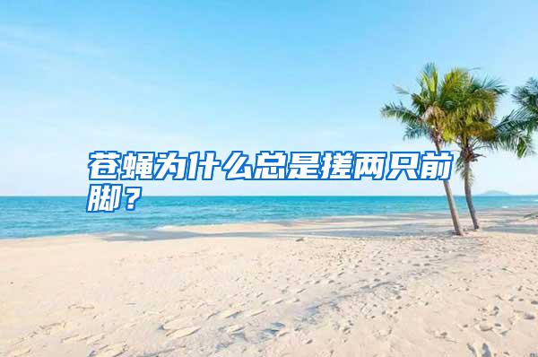 蒼蠅為什么總是搓兩只前腳？
