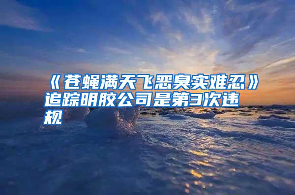 《蒼蠅滿(mǎn)天飛惡臭實(shí)難忍》追蹤明膠公司是第3次違規(guī)