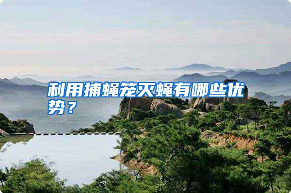 利用捕蠅籠滅蠅有哪些優(yōu)勢(shì)？