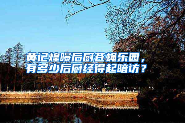 黃記煌曝后廚蒼蠅樂(lè)園， 有多少后廚經(jīng)得起暗訪？