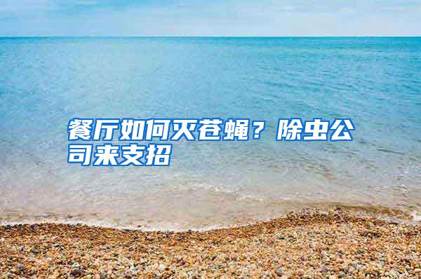 餐廳如何滅蒼蠅？除蟲公司來支招
