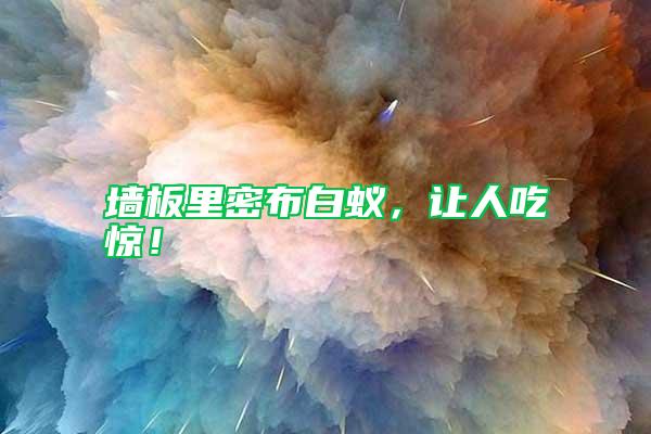 墻板里密布白蟻，讓人吃驚！