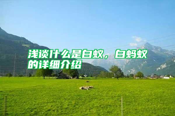 淺談什么是白蟻，白螞蟻的詳細介紹
