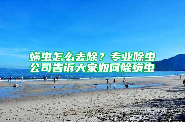 螨蟲(chóng)怎么去除？專(zhuān)業(yè)除蟲(chóng)公司告訴大家如何除螨蟲(chóng)
