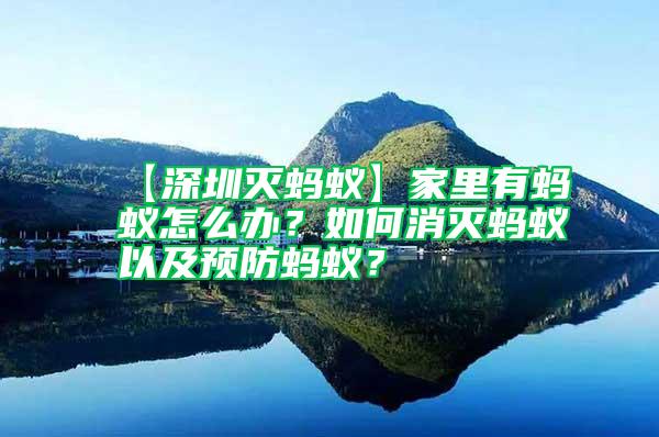 【深圳滅螞蟻】家里有螞蟻怎么辦？如何消滅螞蟻以及預防螞蟻？