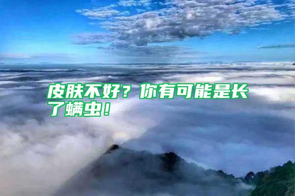 皮膚不好？你有可能是長了螨蟲！