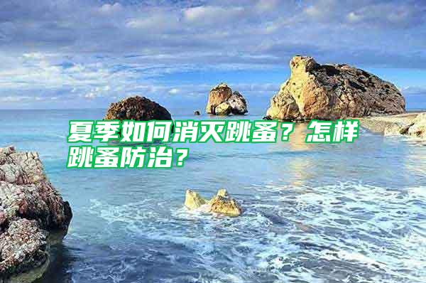 夏季如何消滅跳蚤？怎樣跳蚤防治？