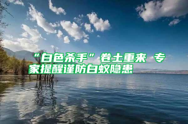 “白色殺手”卷土重來 專家提醒謹(jǐn)防白蟻隱患