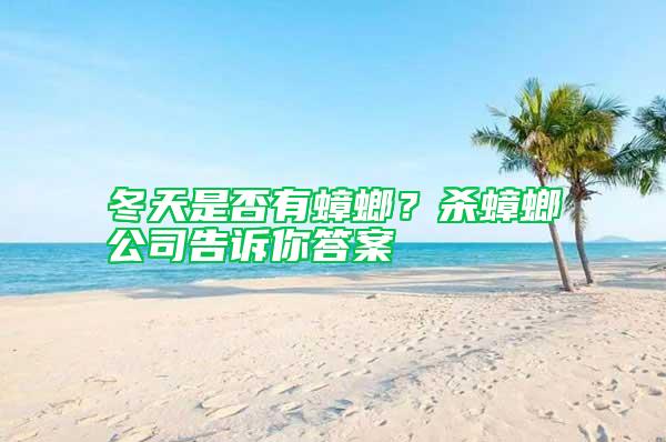 冬天是否有蟑螂？殺蟑螂公司告訴你答案