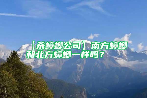 【殺蟑螂公司】南方蟑螂和北方蟑螂一樣嗎？