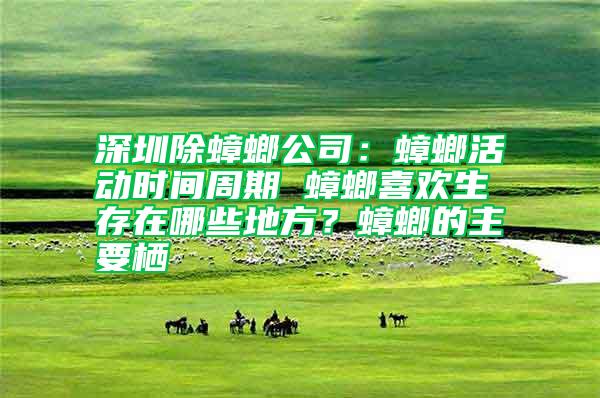 深圳除蟑螂公司：蟑螂活動時間周期 蟑螂喜歡生存在哪些地方？蟑螂的主要棲