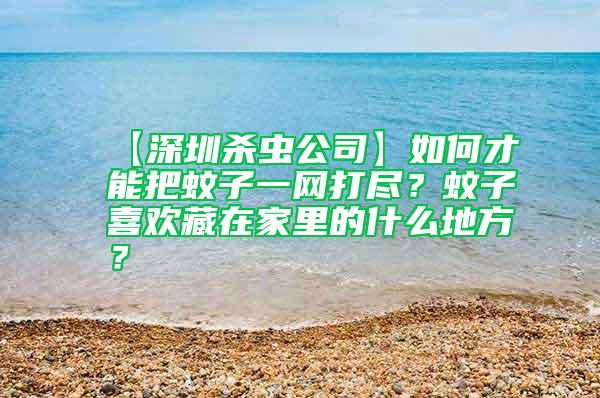 【深圳殺蟲(chóng)公司】如何才能把蚊子一網(wǎng)打盡？蚊子喜歡藏在家里的什么地方？