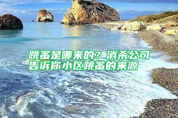 跳蚤是哪來(lái)的？消殺公司告訴你小區(qū)跳蚤的來(lái)源