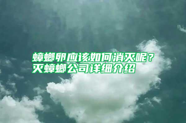 蟑螂卵應該如何消滅呢？滅蟑螂公司詳細介紹