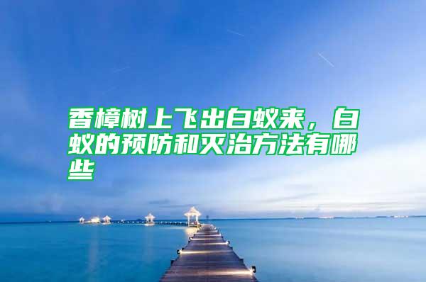 香樟樹上飛出白蟻來，白蟻的預防和滅治方法有哪些