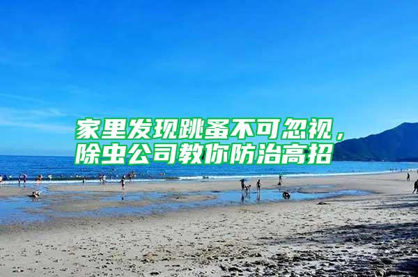 家里發(fā)現(xiàn)跳蚤不可忽視，除蟲(chóng)公司教你防治高招