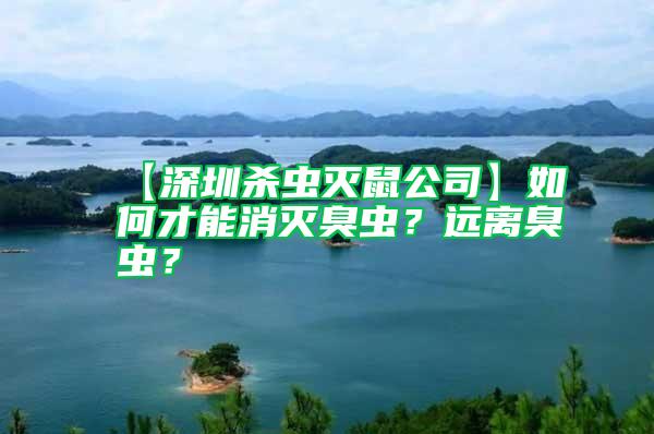【深圳殺蟲滅鼠公司】如何才能消滅臭蟲？遠離臭蟲？