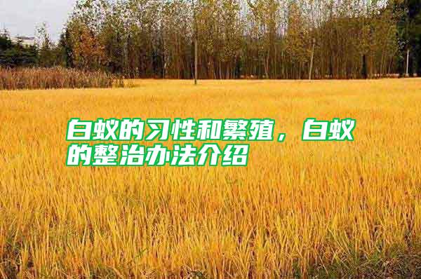 白蟻的習性和繁殖，白蟻的整治辦法介紹