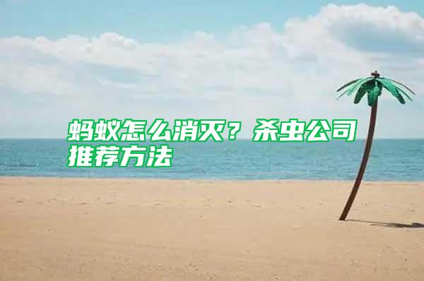 螞蟻怎么消滅？殺蟲公司推薦方法