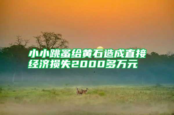 小小跳蚤給黃石造成直接經(jīng)濟(jì)損失2000多萬元