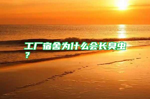 工廠宿舍為什么會(huì)長(zhǎng)臭蟲(chóng)？