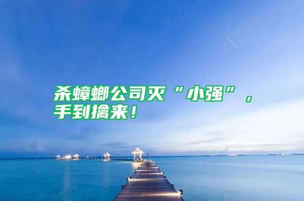 殺蟑螂公司滅“小強”，手到擒來！