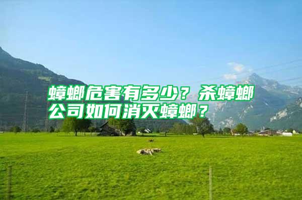 蟑螂危害有多少？殺蟑螂公司如何消滅蟑螂？