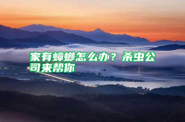 家有蟑螂怎么辦？殺蟲公司來幫你
