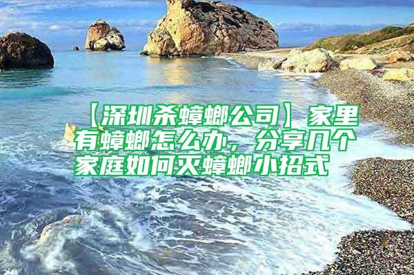 【深圳殺蟑螂公司】家里有蟑螂怎么辦，分享幾個家庭如何滅蟑螂小招式