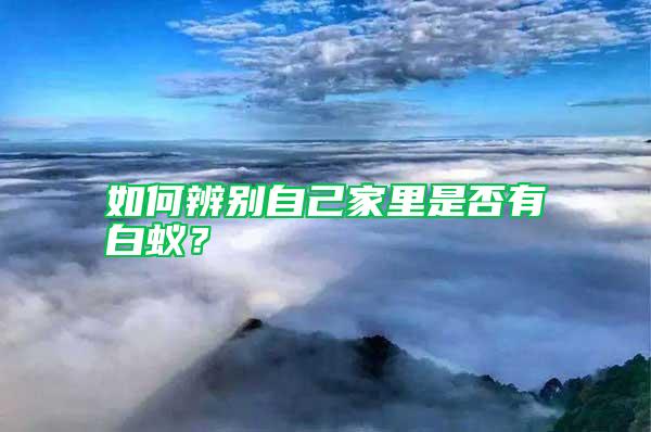 如何辨別自己家里是否有白蟻？
