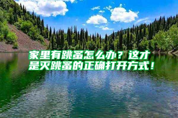家里有跳蚤怎么辦？這才是滅跳蚤的正確打開(kāi)方式！