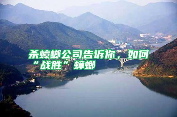 殺蟑螂公司告訴你，如何“戰勝”蟑螂