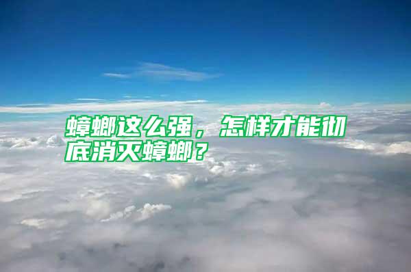 蟑螂這么強，怎樣才能徹底消滅蟑螂？