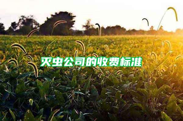 滅蟲公司的收費(fèi)標(biāo)準(zhǔn)