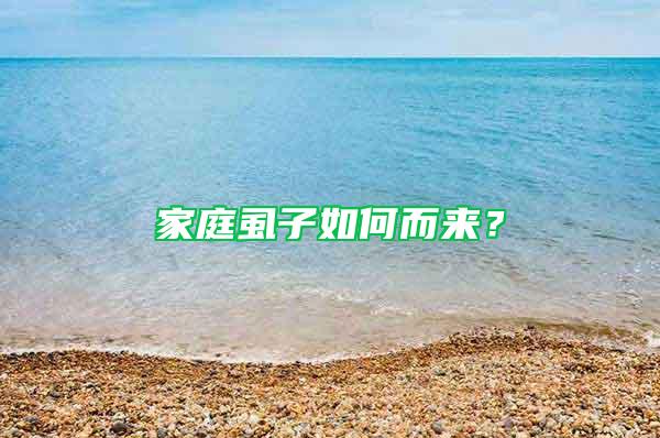 家庭虱子如何而來？