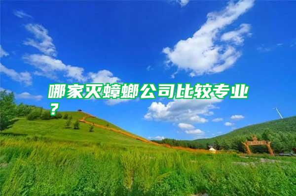 哪家滅蟑螂公司比較專業？
