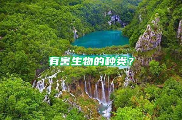 有害生物的種類？