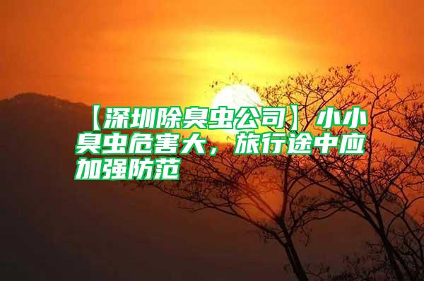 【深圳除臭蟲(chóng)公司】小小臭蟲(chóng)危害大，旅行途中應(yīng)加強(qiáng)防范