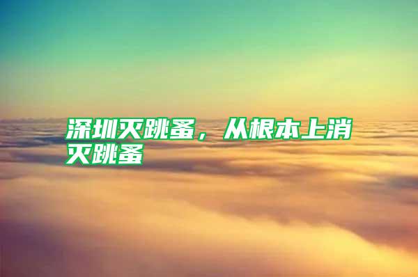 深圳滅跳蚤，從根本上消滅跳蚤