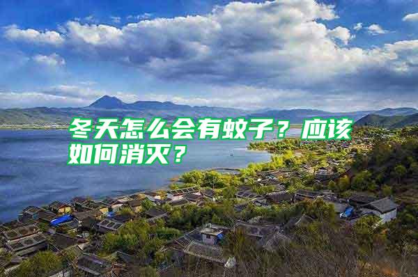 冬天怎么會有蚊子？應該如何消滅？