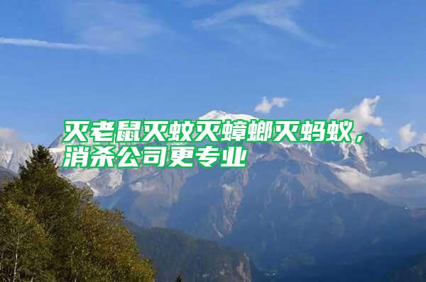 滅老鼠滅蚊滅蟑螂滅螞蟻，消殺公司更專業