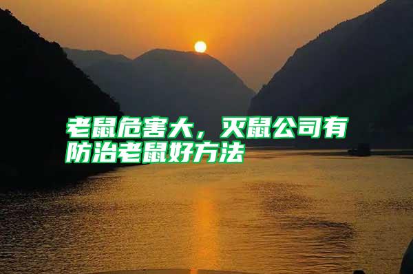老鼠危害大，滅鼠公司有防治老鼠好方法