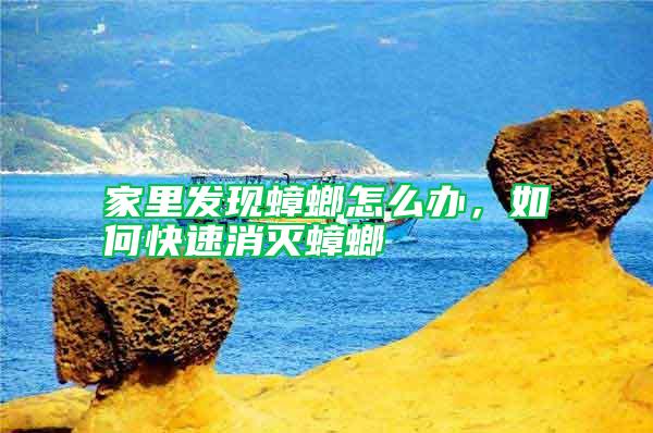 家里發(fā)現(xiàn)蟑螂怎么辦，如何快速消滅蟑螂
