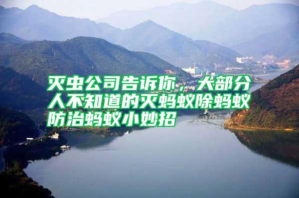 滅蟲公司告訴你，大部分人不知道的滅螞蟻除螞蟻防治螞蟻小妙招