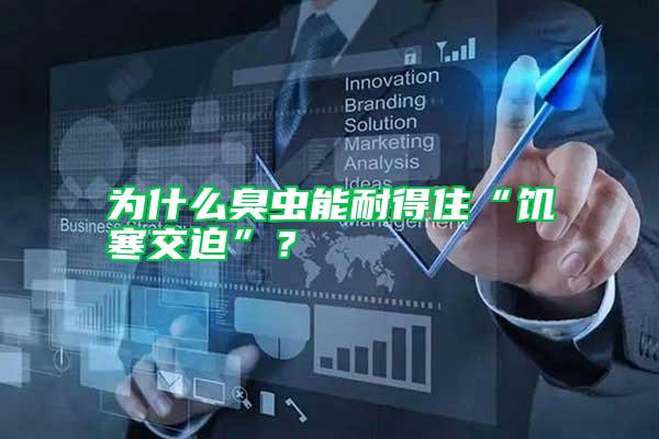 為什么臭蟲能耐得住“饑寒交迫”？